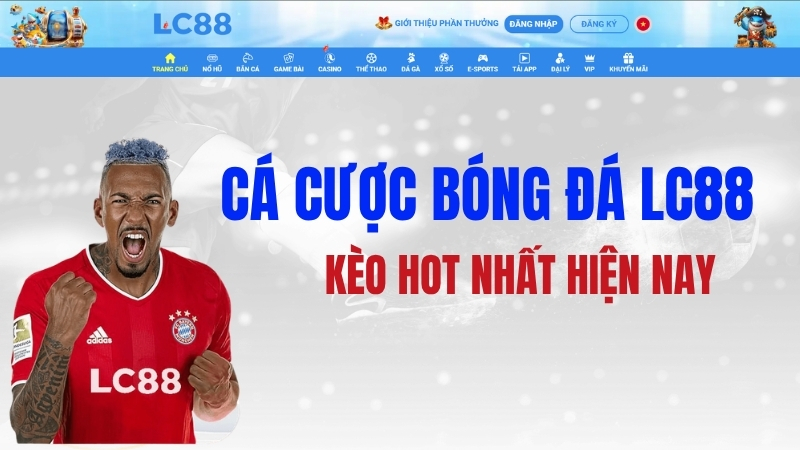 Cá Cược Bóng Đá GO8 – Kèo Hot Nhất Hiện Nay