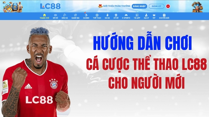 Hướng Dẫn Cá Cược Thể Thao GO8 Cho Người Mới