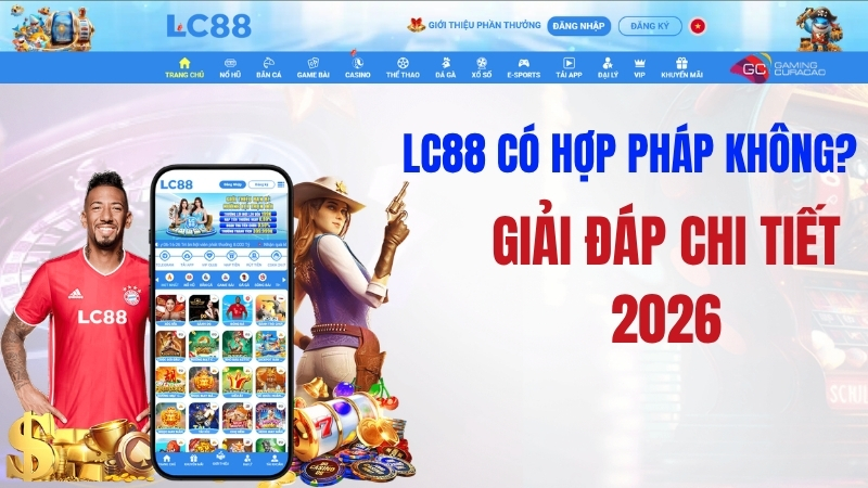 GO8 Có Hợp Pháp Không? Giải Đáp Chi Tiết 2025