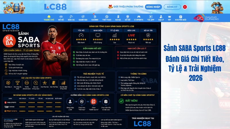 Sảnh SABA Sports GO8 – Đánh Giá Chi Tiết Kèo, Tỷ Lệ & Trải Nghiệm 2026
