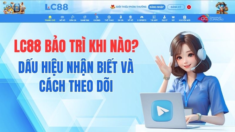 GO8 Bảo Trì Khi Nào? Dấu Hiệu Nhận Biết Và Cách Theo Dõi